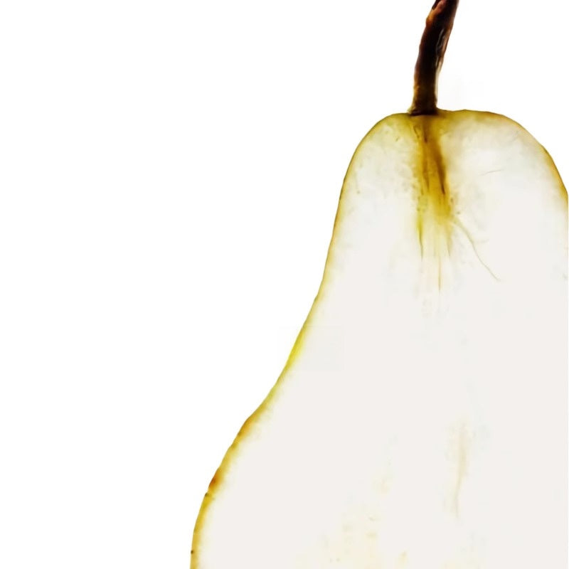 Travel Shampoo and conditioner